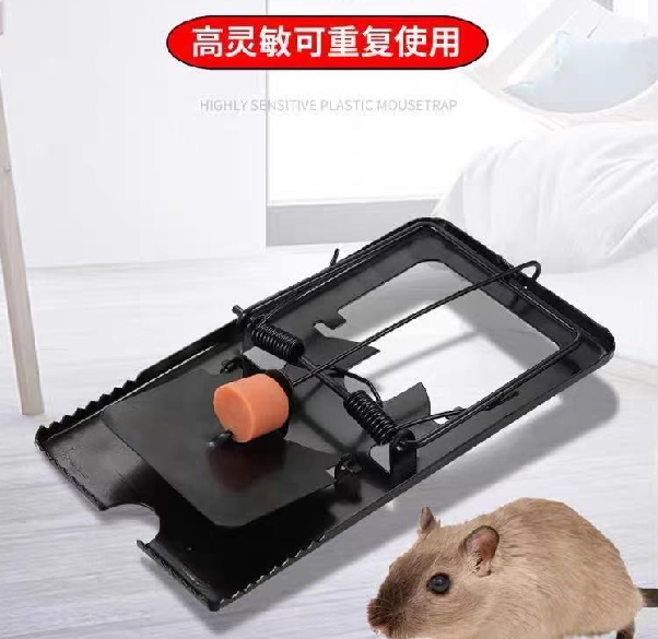 �����F�A