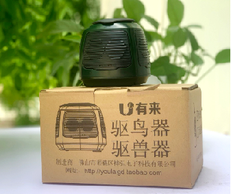 �����(q��)�B��